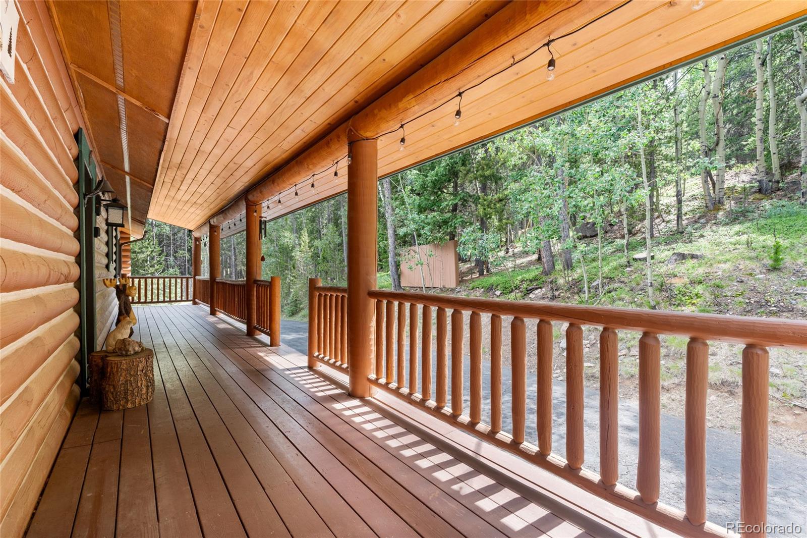 MLS Image #4 for 10777  timothys drive,conifer, Colorado