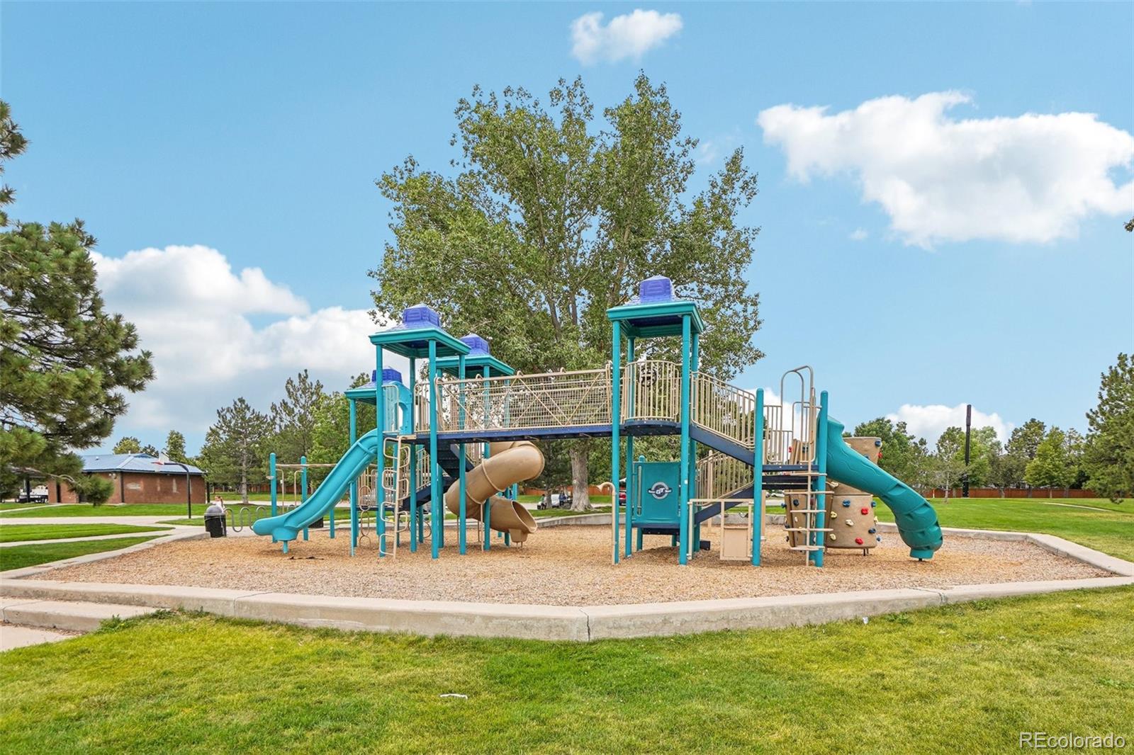 MLS Image #42 for 5617 e prescott avenue,castle rock, Colorado