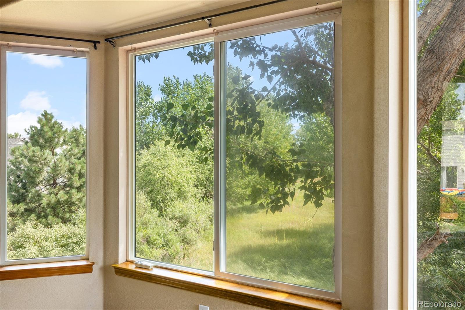 MLS Image #10 for 11802  meadowood lane,parker, Colorado