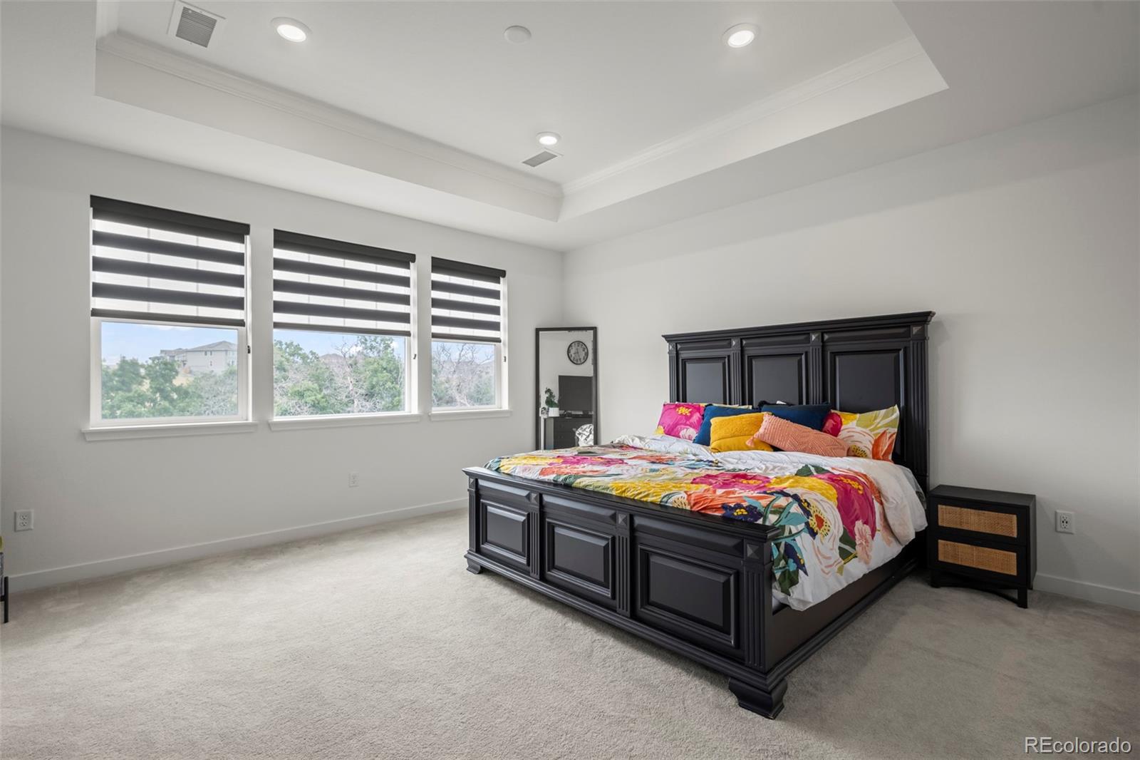 MLS Image #14 for 17077  desert wine lane,parker, Colorado