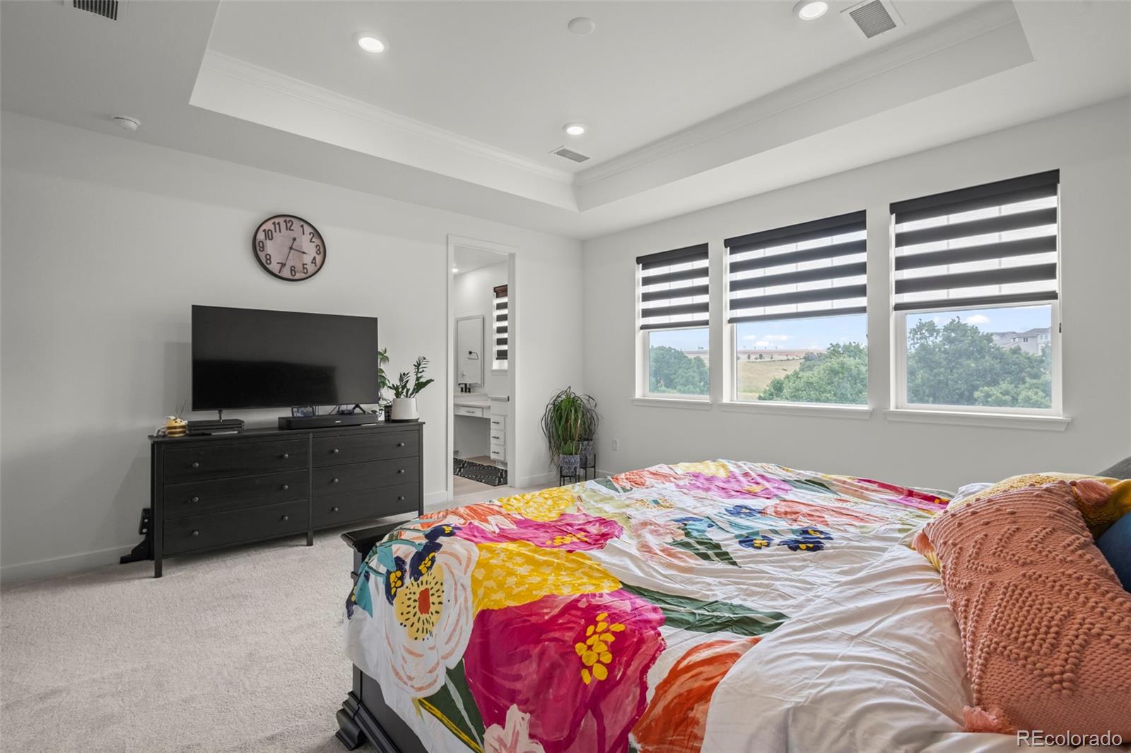 MLS Image #15 for 17077  desert wine lane,parker, Colorado