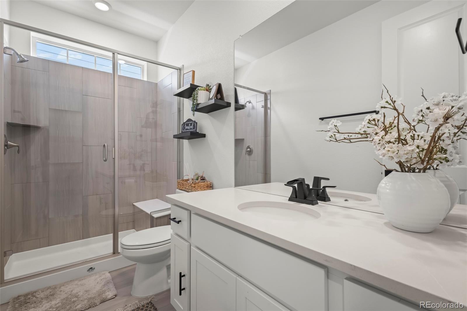 MLS Image #30 for 17077  desert wine lane,parker, Colorado