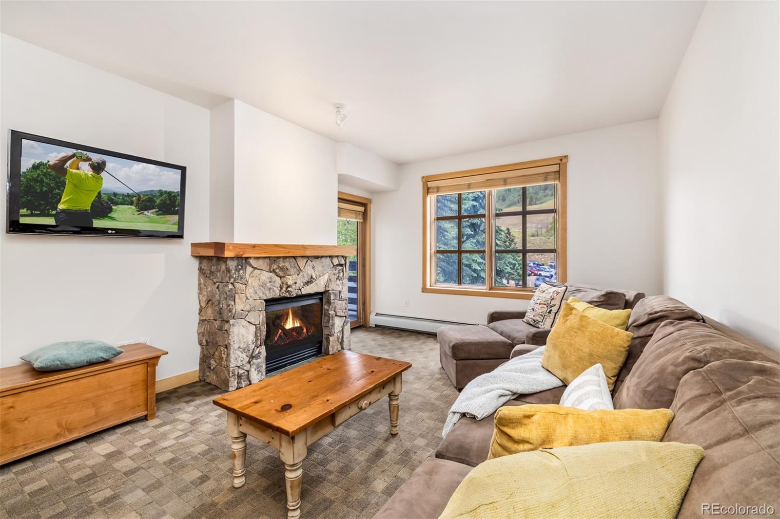 MLS Image #12 for 910  copper road,frisco, Colorado