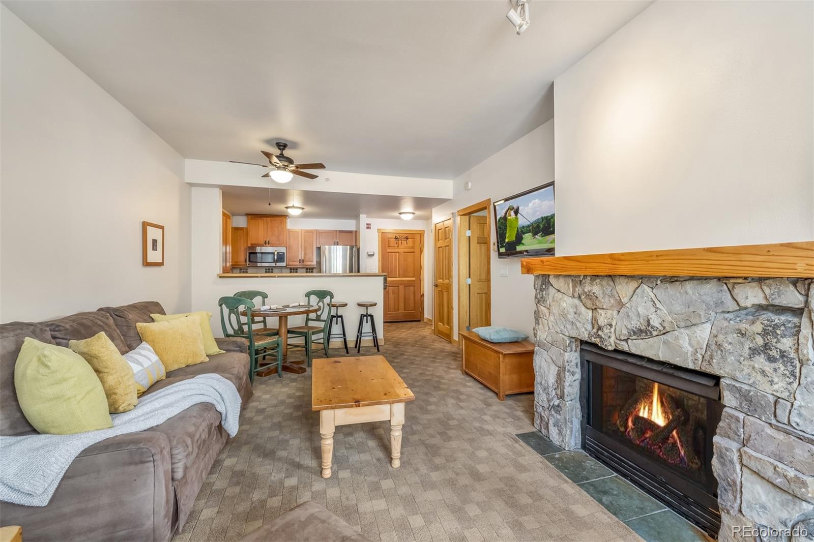 MLS Image #3 for 910  copper road,frisco, Colorado