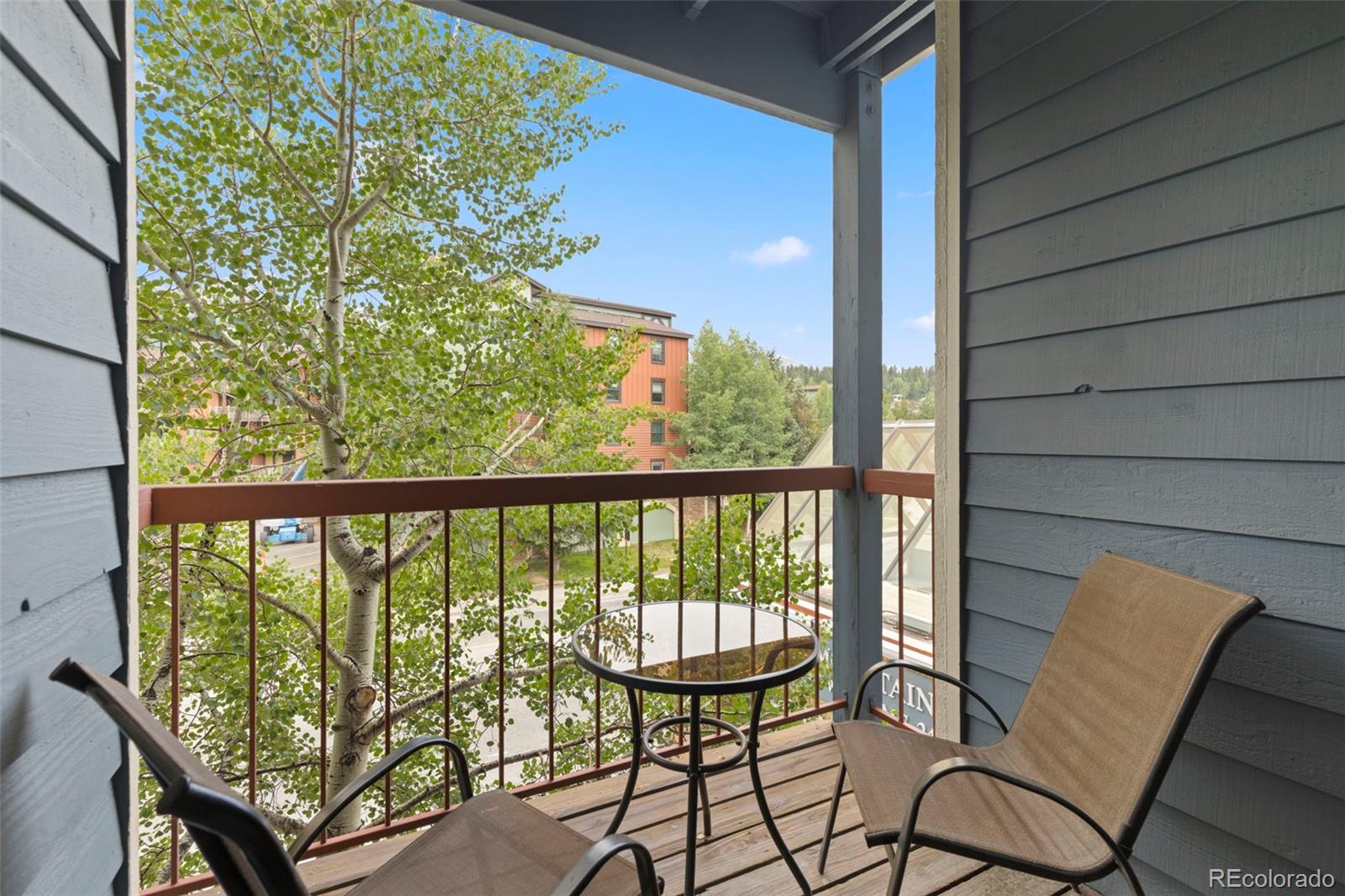MLS Image #10 for 100 s park avenue,breckenridge, Colorado