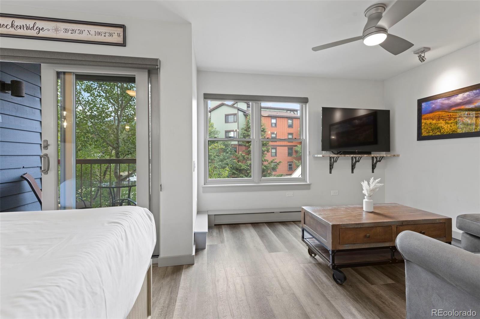 MLS Image #13 for 100 s park avenue,breckenridge, Colorado