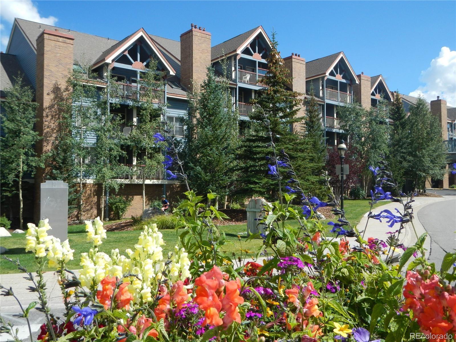 MLS Image #2 for 100 s park avenue,breckenridge, Colorado