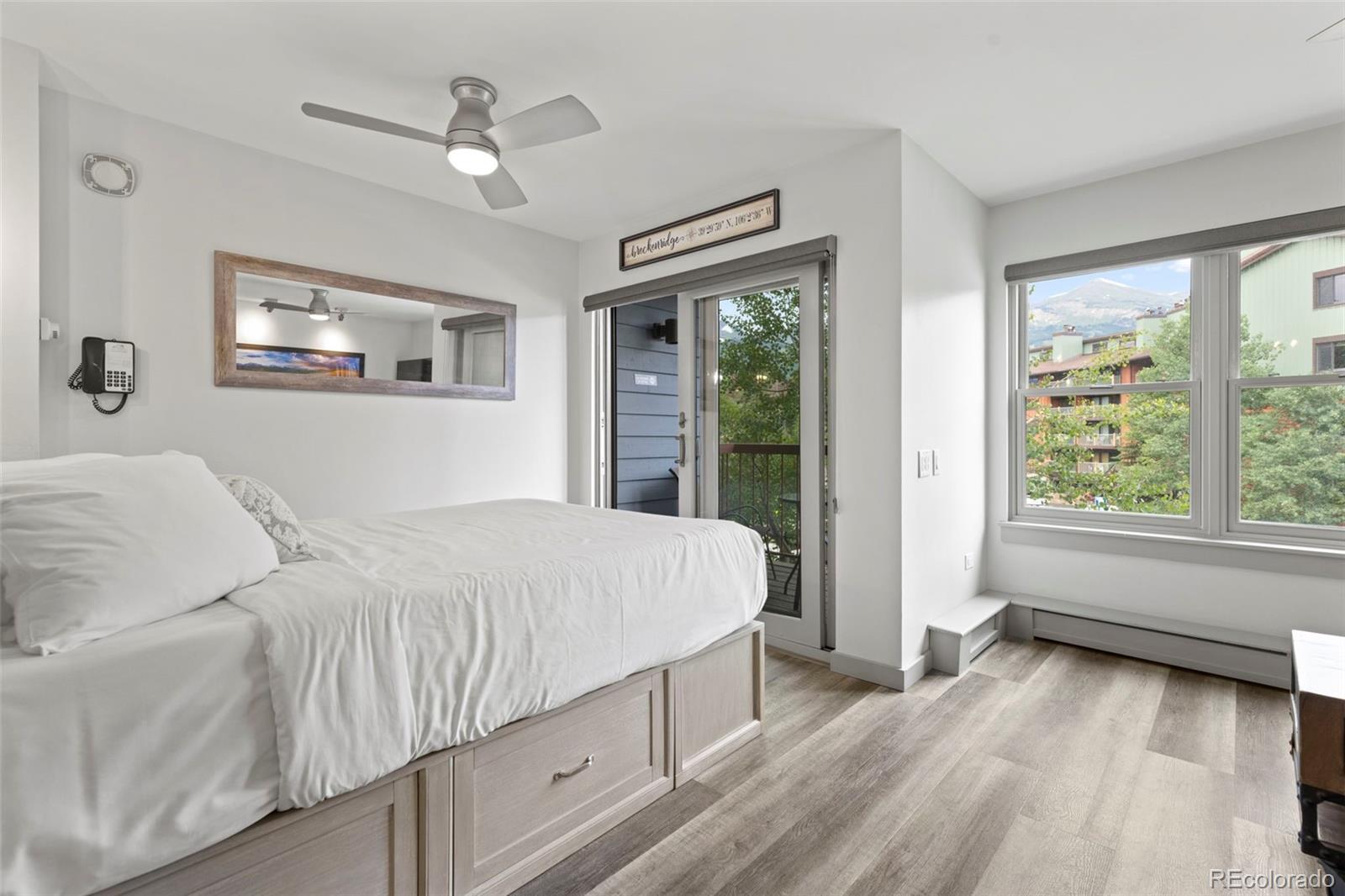 MLS Image #9 for 100 s park avenue,breckenridge, Colorado