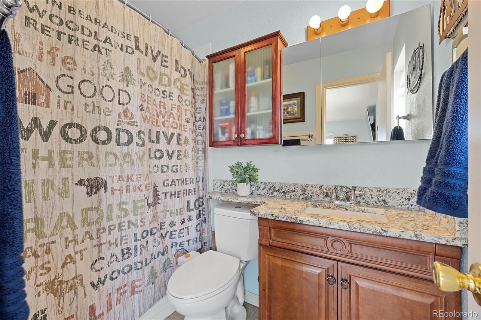 MLS Image #14 for 8381  shiloh court,elizabeth, Colorado
