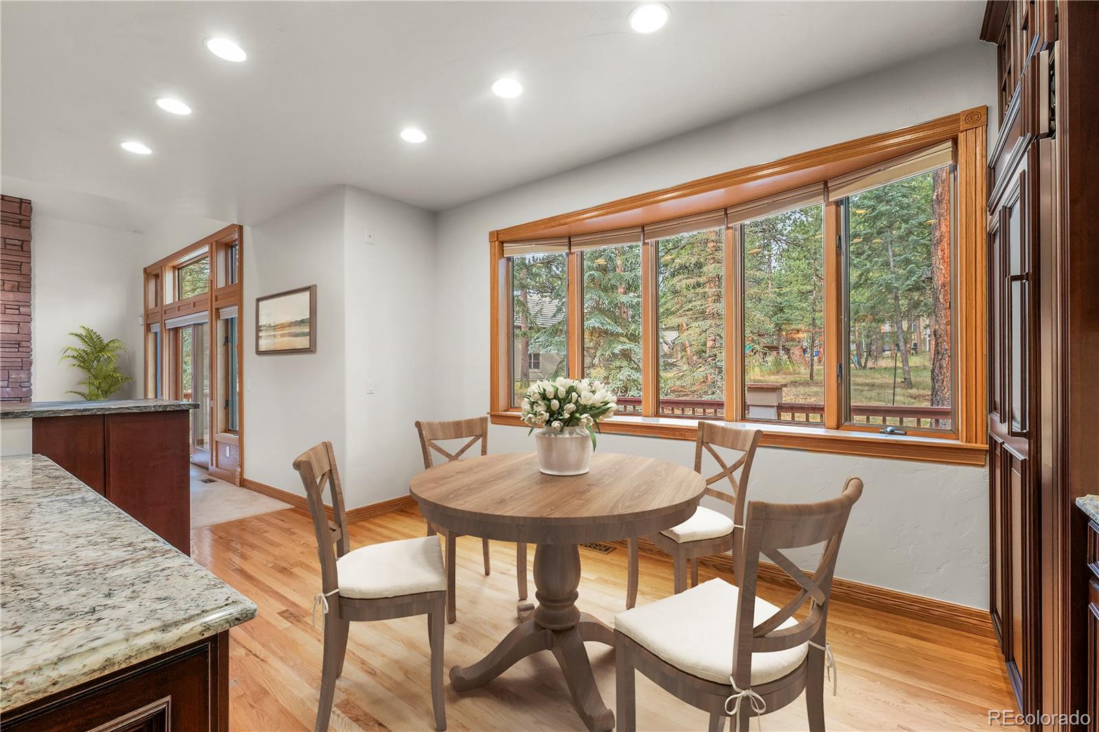 MLS Image #14 for 2828  keystone drive,evergreen, Colorado