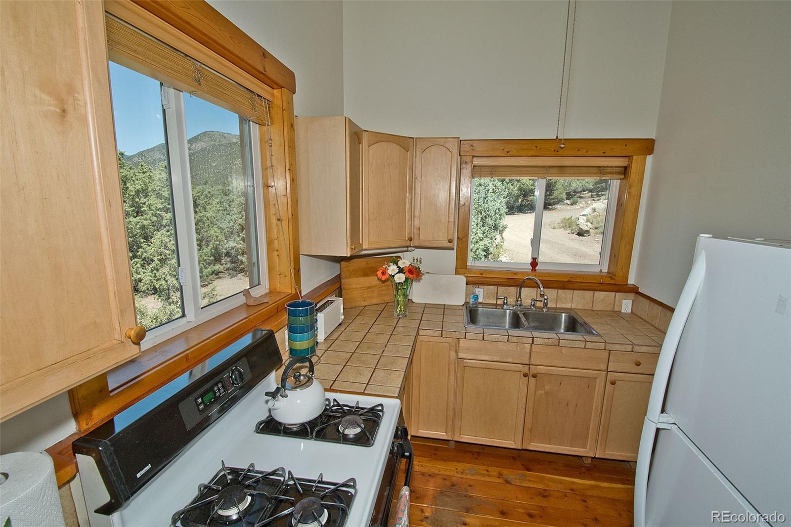 MLS Image #15 for 4420  twinview court,crestone, Colorado