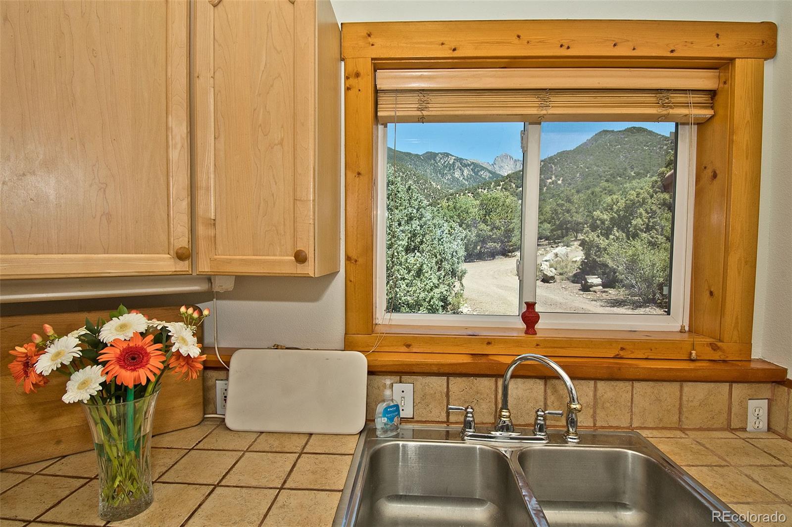 MLS Image #16 for 4420  twinview court,crestone, Colorado