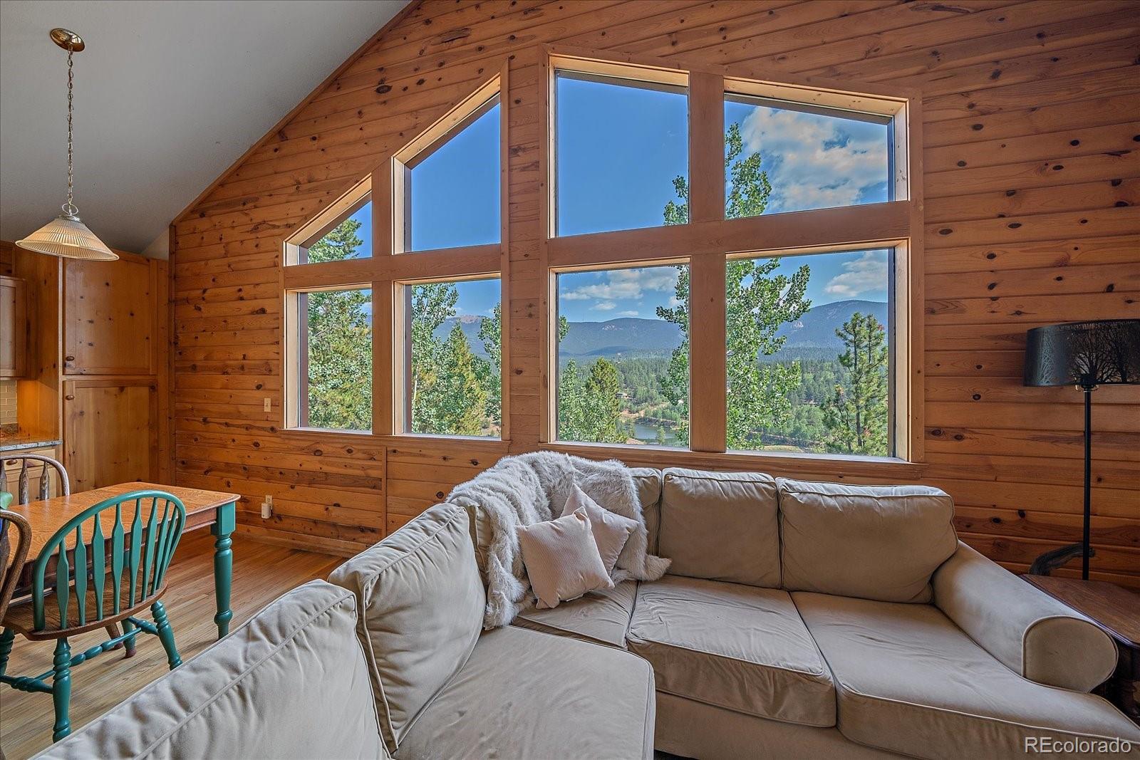 MLS Image #10 for 153  wise road,bailey, Colorado