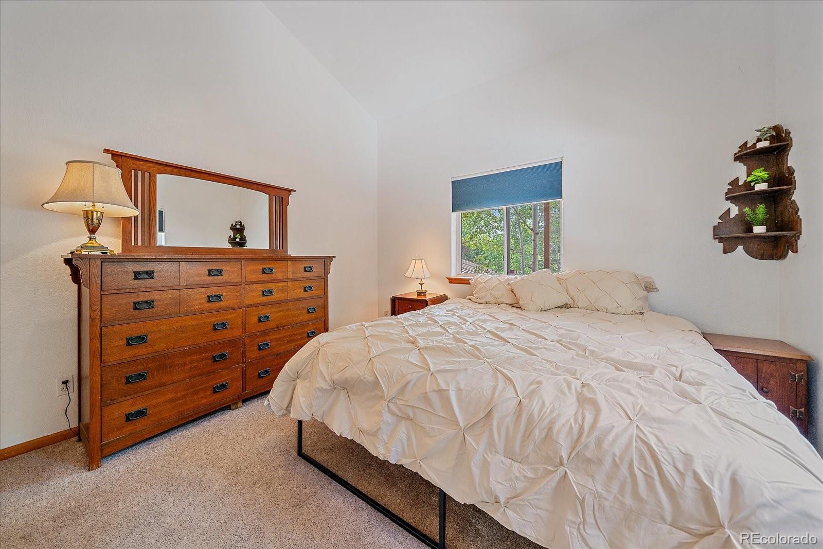 MLS Image #16 for 153  wise road,bailey, Colorado