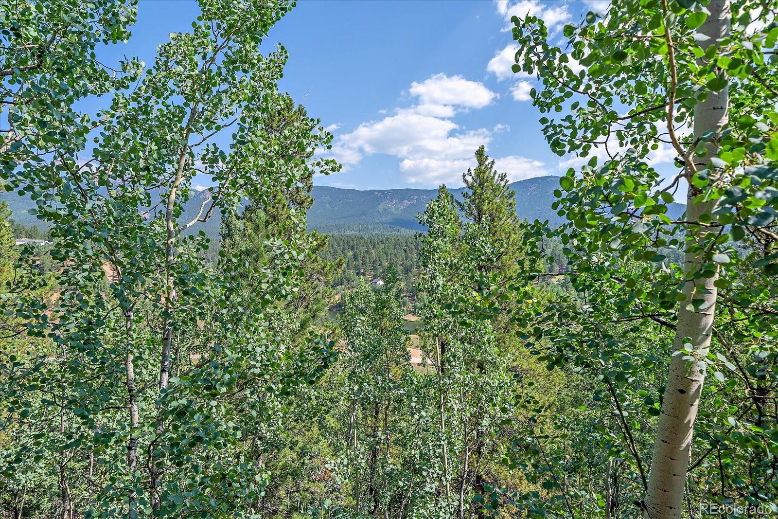 MLS Image #29 for 153  wise road,bailey, Colorado