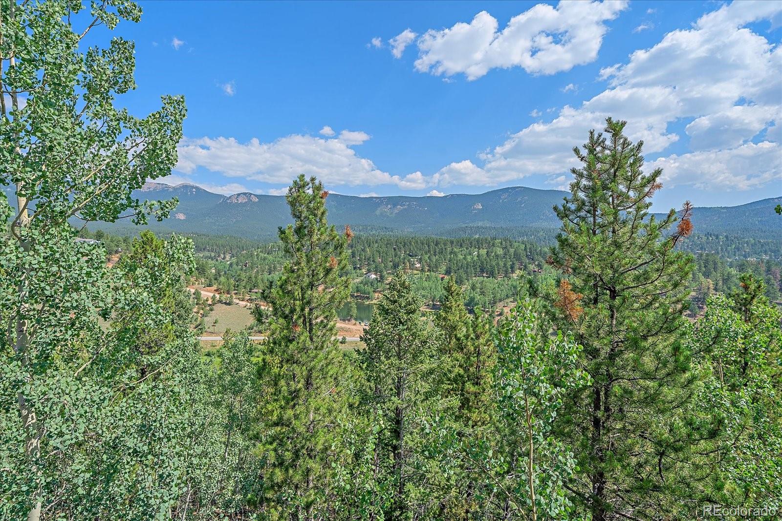 MLS Image #5 for 153  wise road,bailey, Colorado