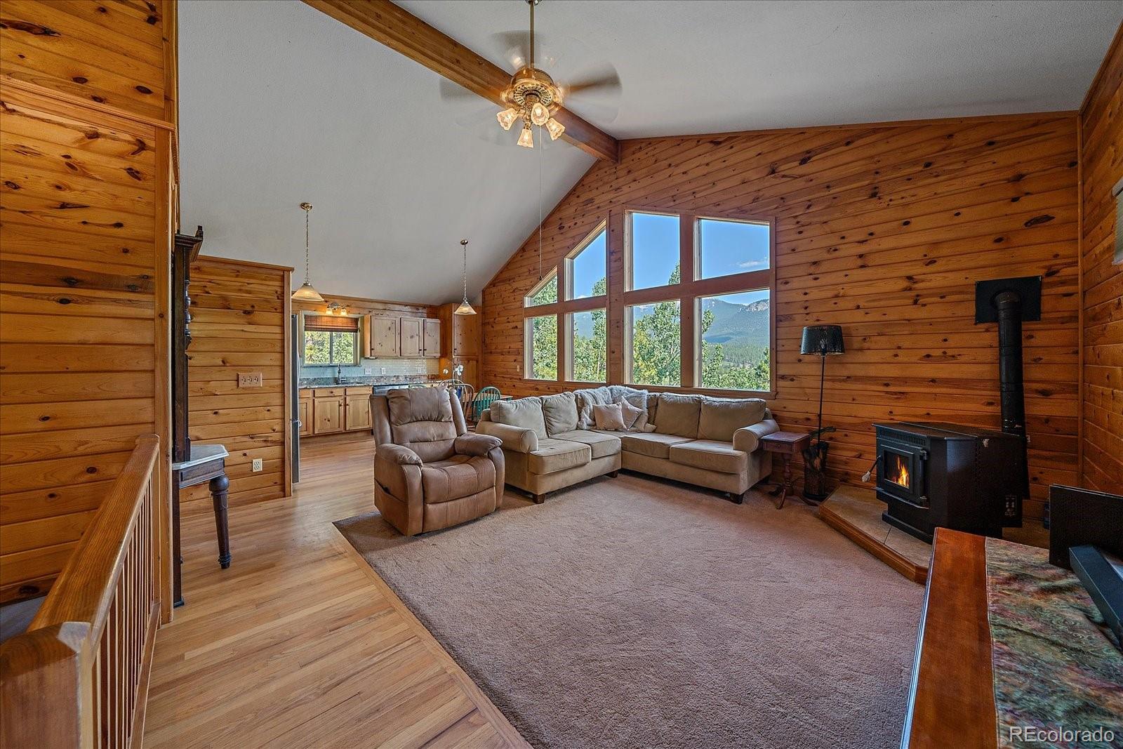 MLS Image #6 for 153  wise road,bailey, Colorado
