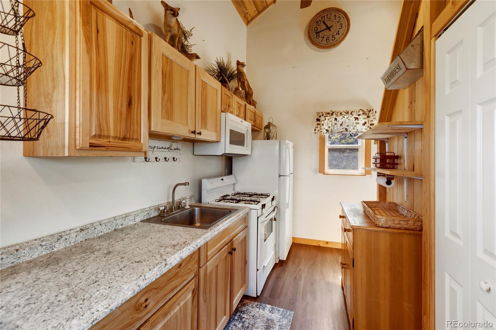MLS Image #16 for 85  terrace lane,florissant, Colorado