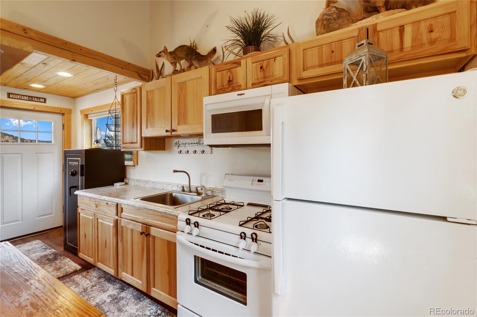 MLS Image #18 for 85  terrace lane,florissant, Colorado