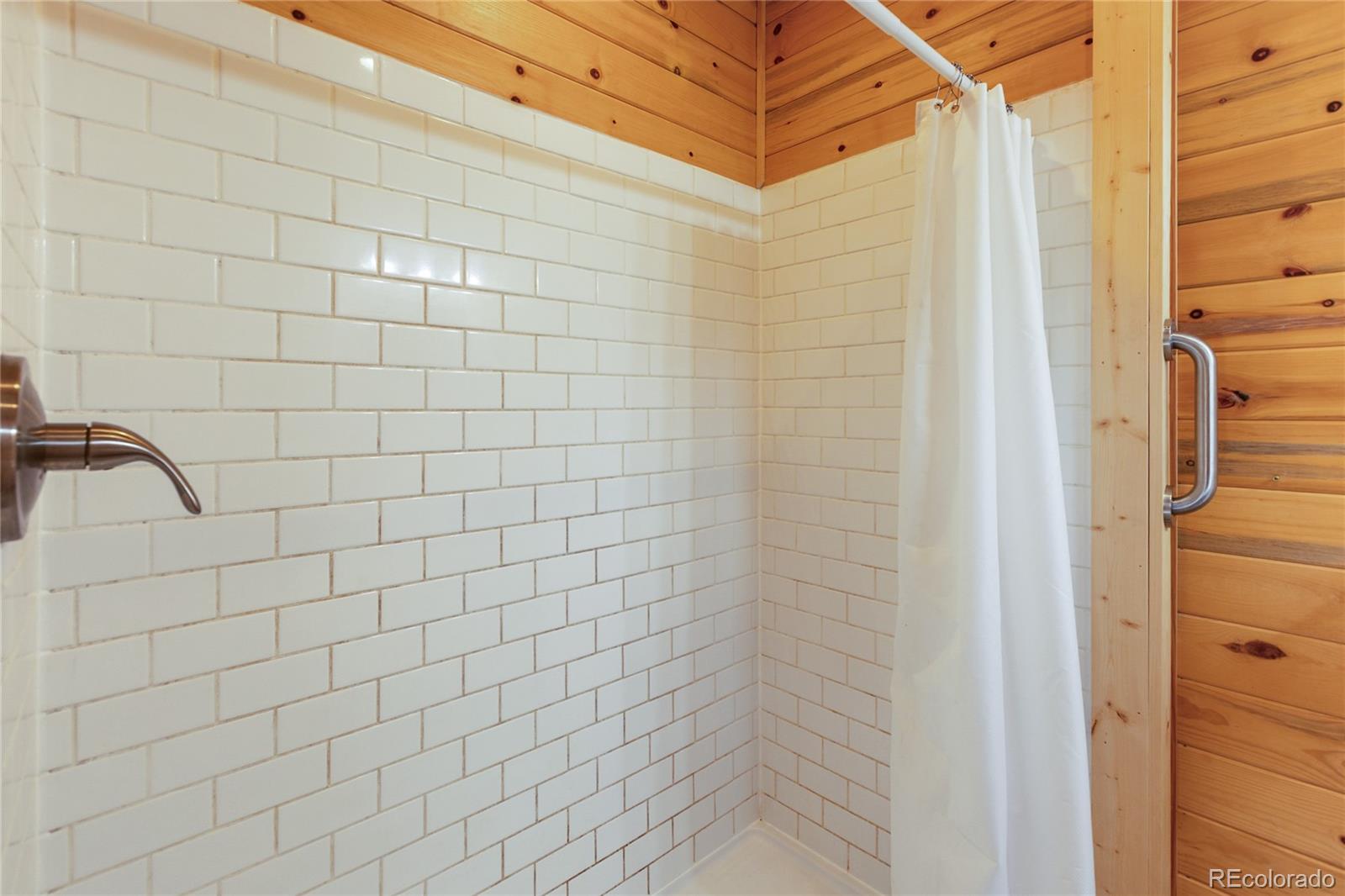 MLS Image #20 for 85  terrace lane,florissant, Colorado