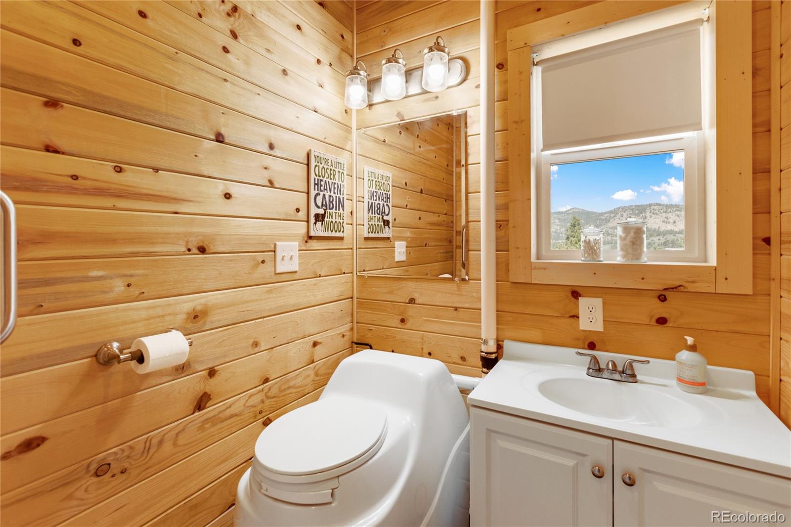 MLS Image #21 for 85  terrace lane,florissant, Colorado