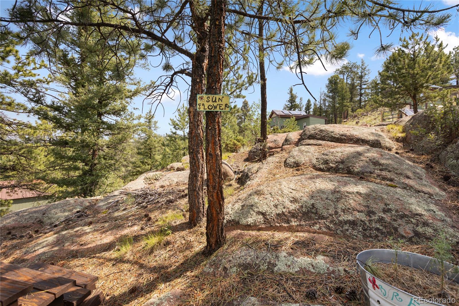 MLS Image #32 for 85  terrace lane,florissant, Colorado