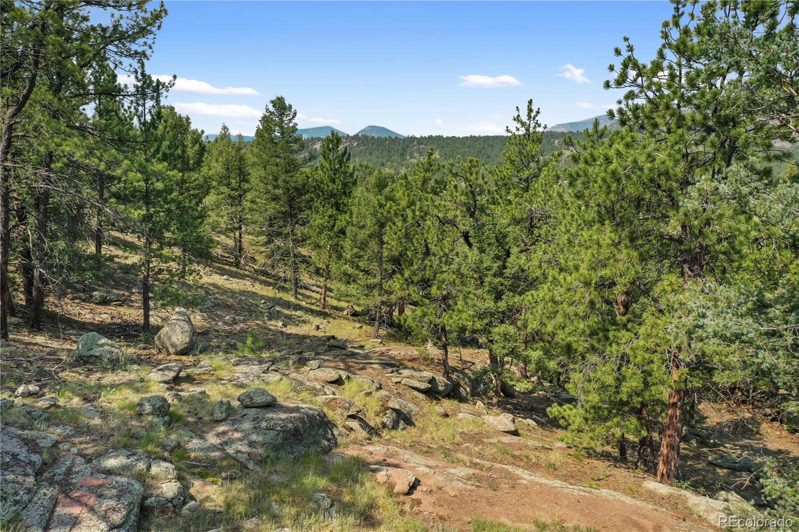 MLS Image #42 for 85  terrace lane,florissant, Colorado