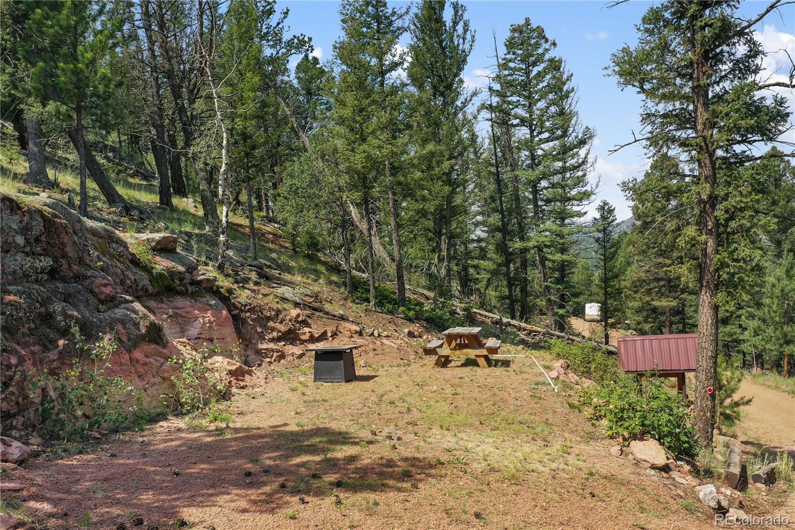 MLS Image #8 for 85  terrace lane,florissant, Colorado