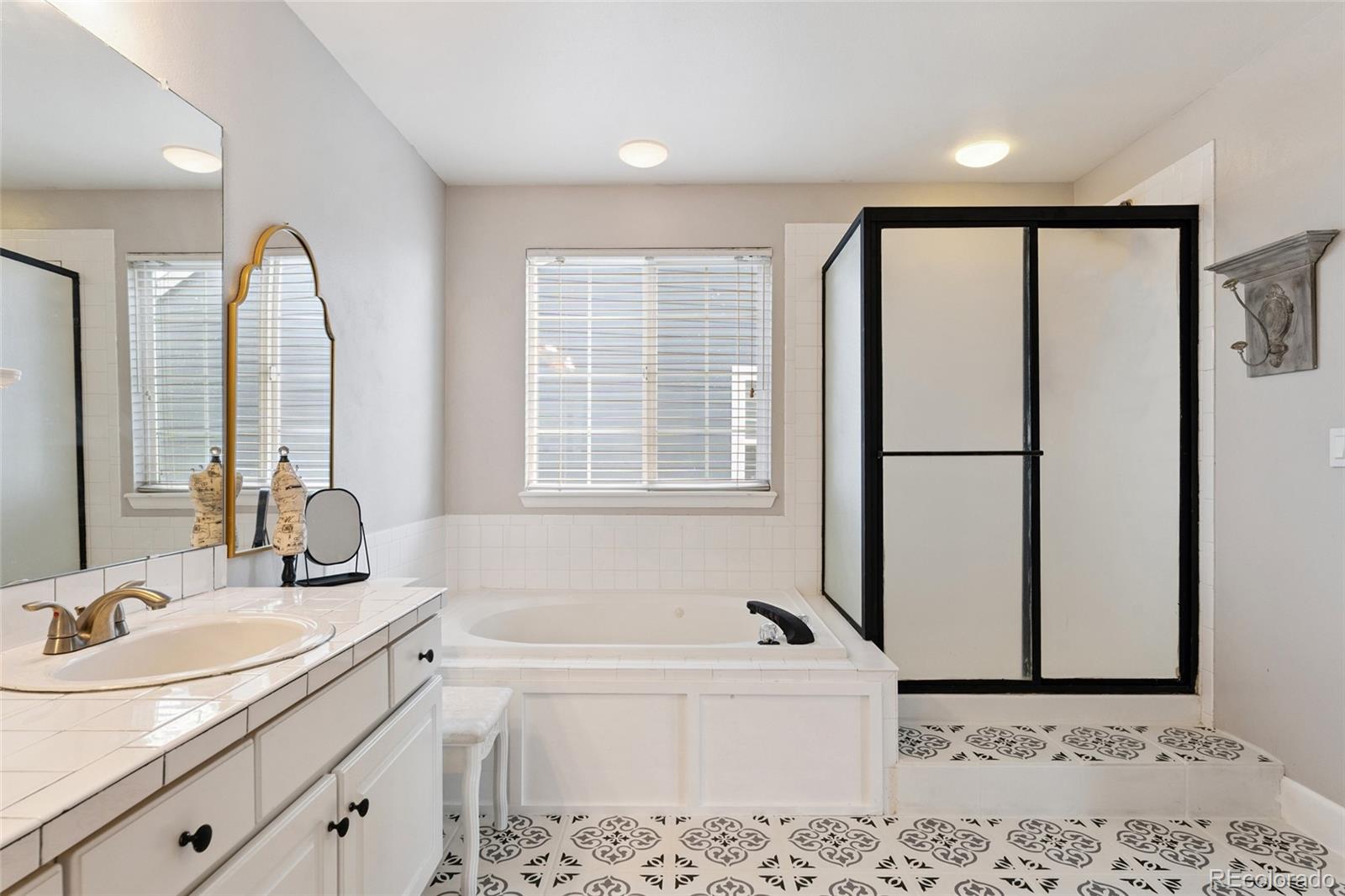 MLS Image #28 for 10085  brisbane lane,highlands ranch, Colorado