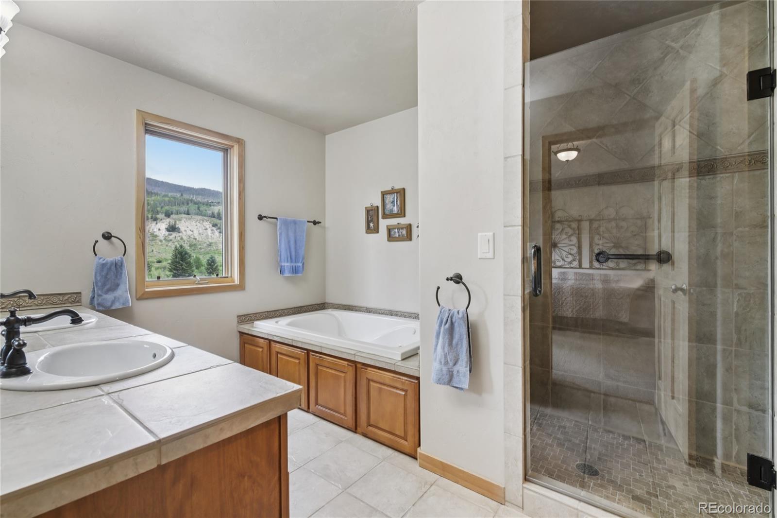 MLS Image #18 for 1545  legend lake circle,silverthorne, Colorado