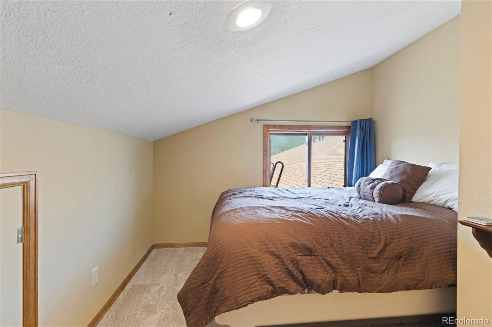 MLS Image #24 for 570  bills ranch road,frisco, Colorado