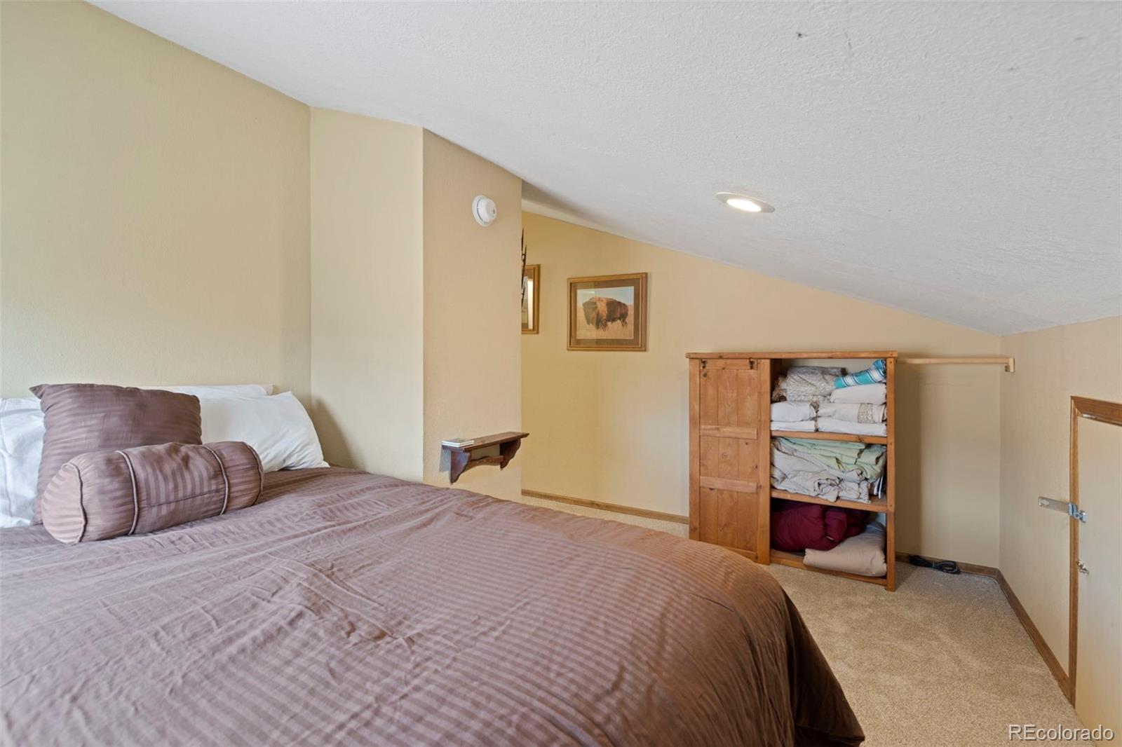 MLS Image #26 for 570  bills ranch road,frisco, Colorado