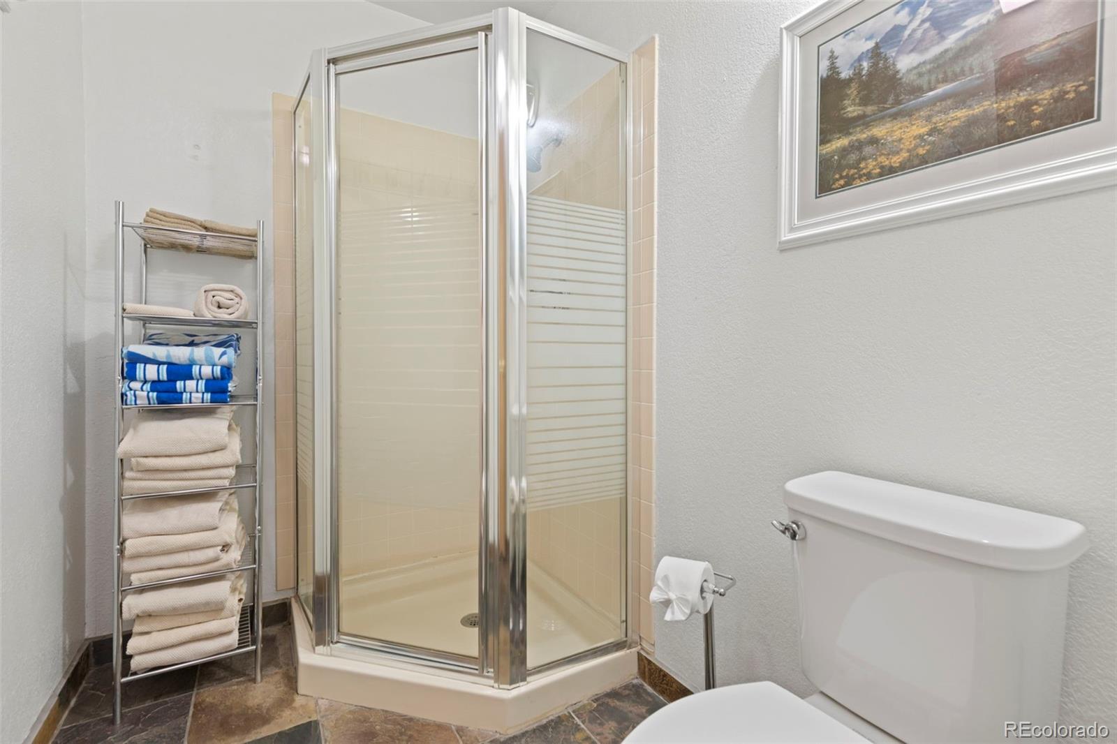 MLS Image #28 for 570  bills ranch road,frisco, Colorado