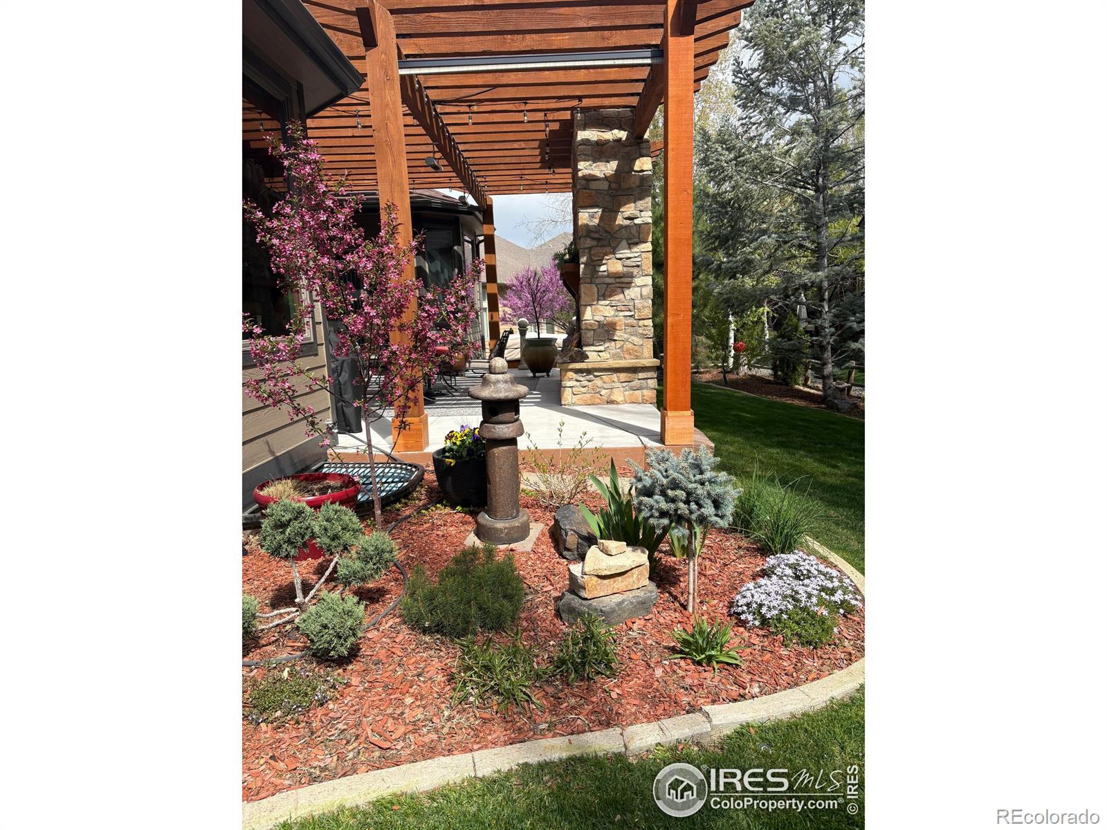 MLS Image #31 for 1443  folsum drive,windsor, Colorado