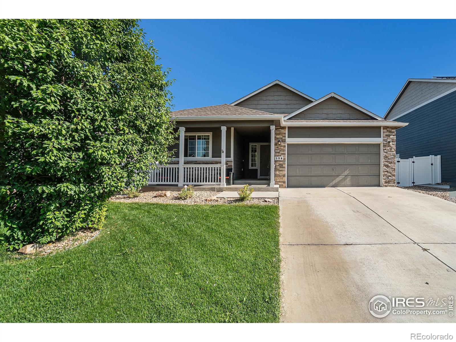 MLS Image #3 for 586  cherryridge drive,windsor, Colorado