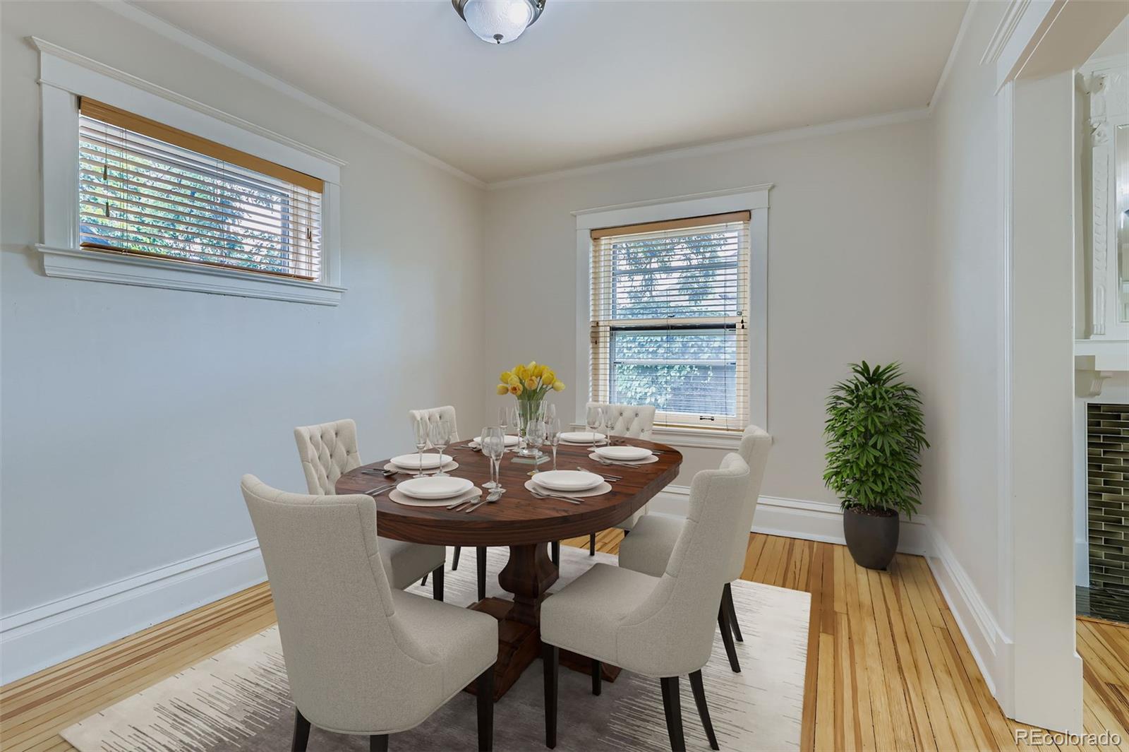 MLS Image #9 for 2209 e 16th avenue,denver, Colorado