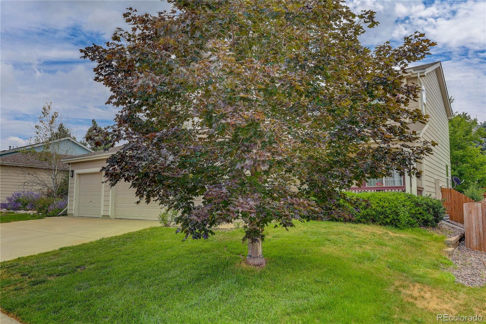 MLS Image #6 for 5420 s shawnee way,aurora, Colorado