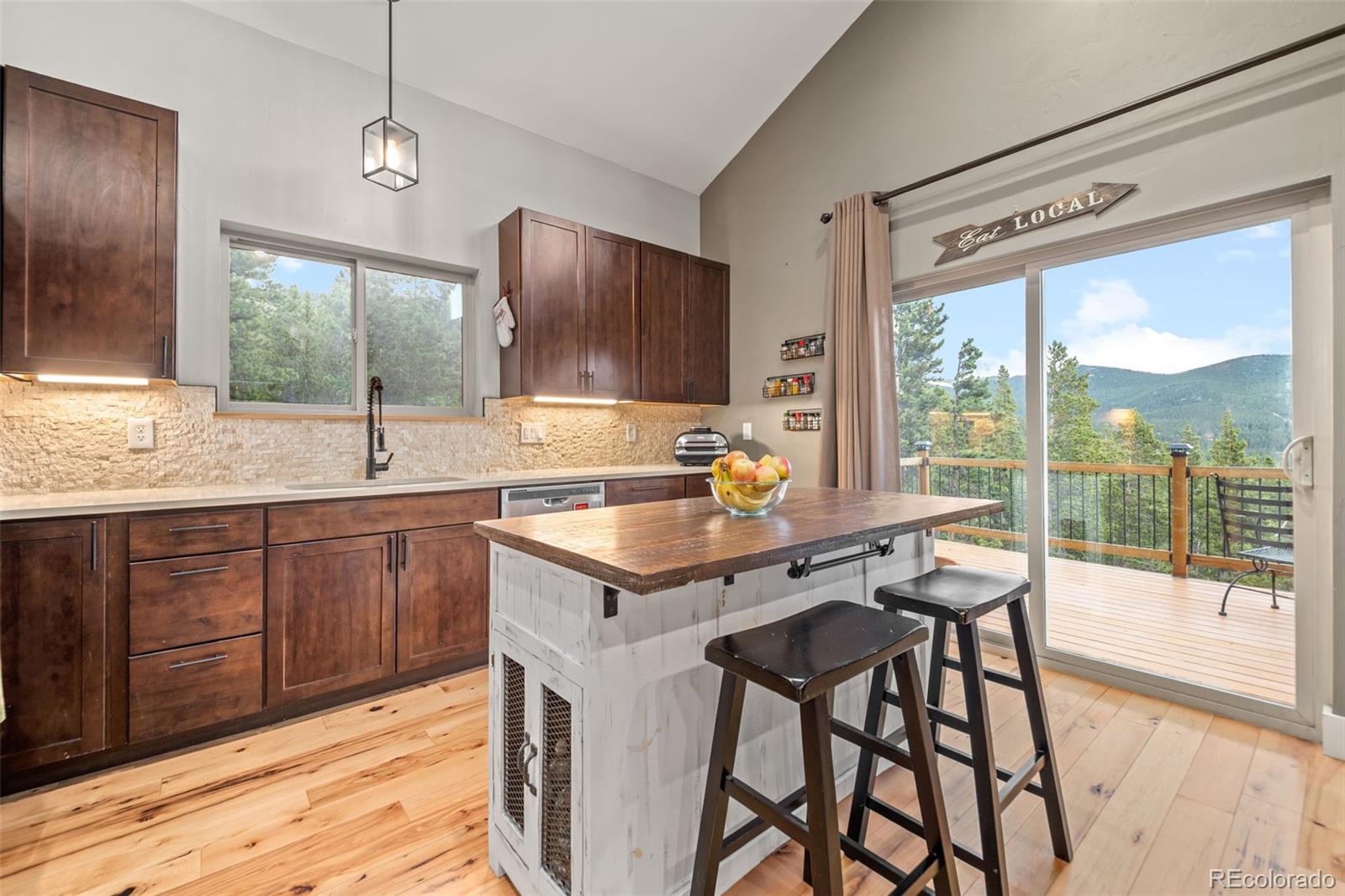 MLS Image #15 for 258  upper forest road,idaho springs, Colorado
