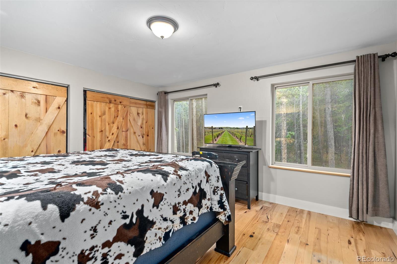 MLS Image #18 for 258  upper forest road,idaho springs, Colorado