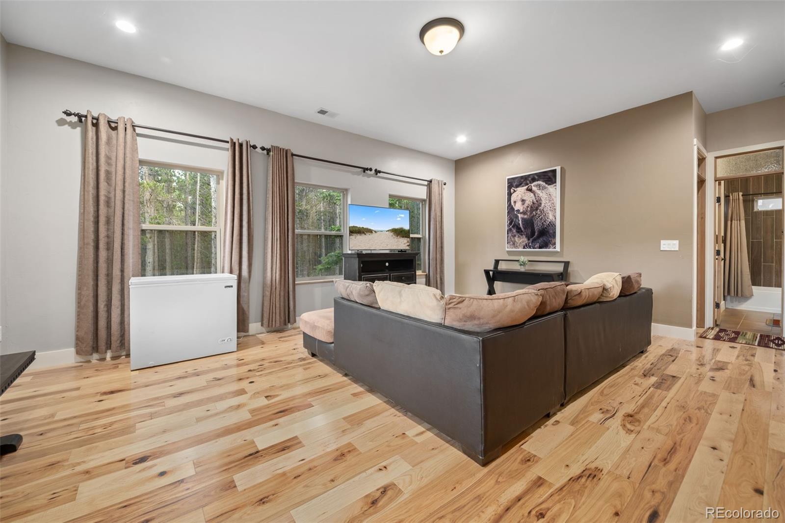 MLS Image #3 for 258  upper forest road,idaho springs, Colorado