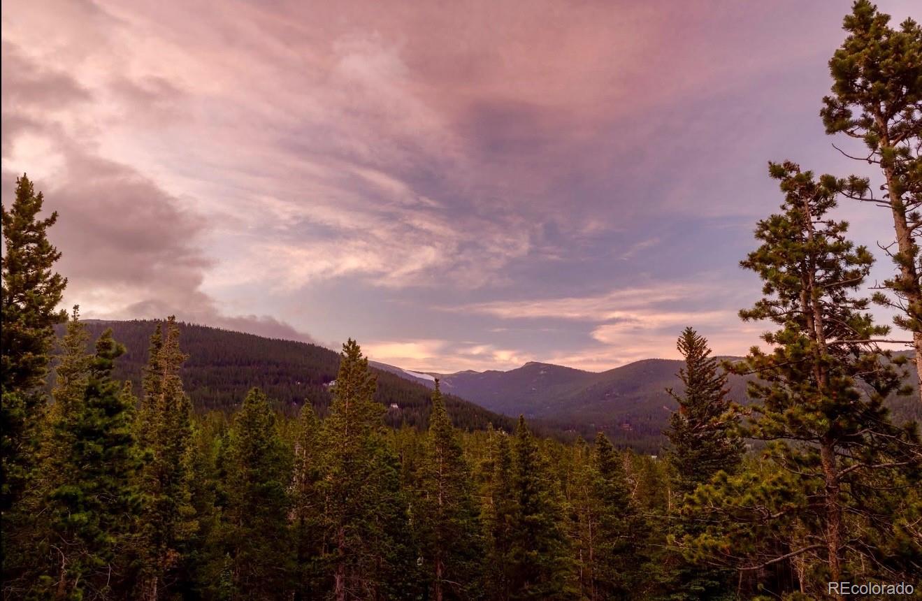 MLS Image #37 for 258  upper forest road,idaho springs, Colorado