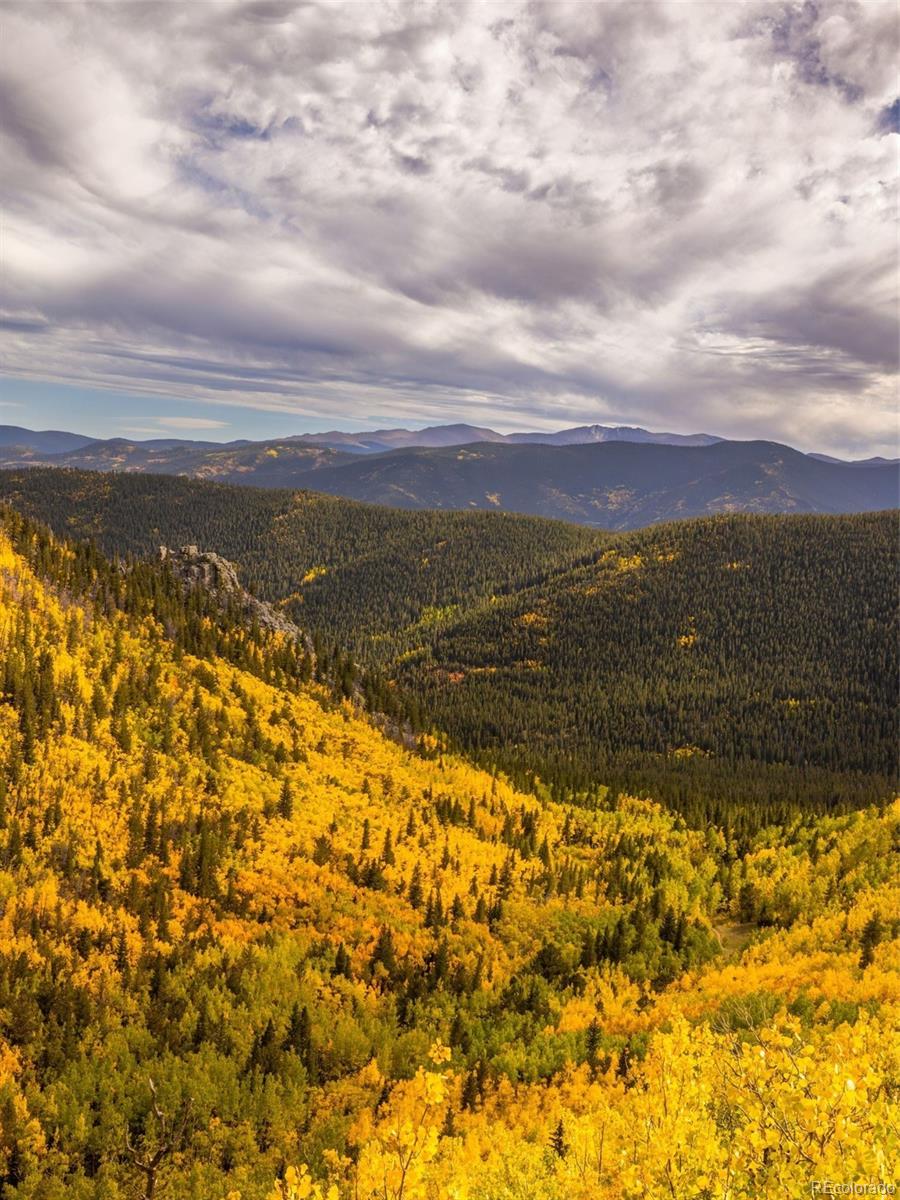 MLS Image #40 for 258  upper forest road,idaho springs, Colorado