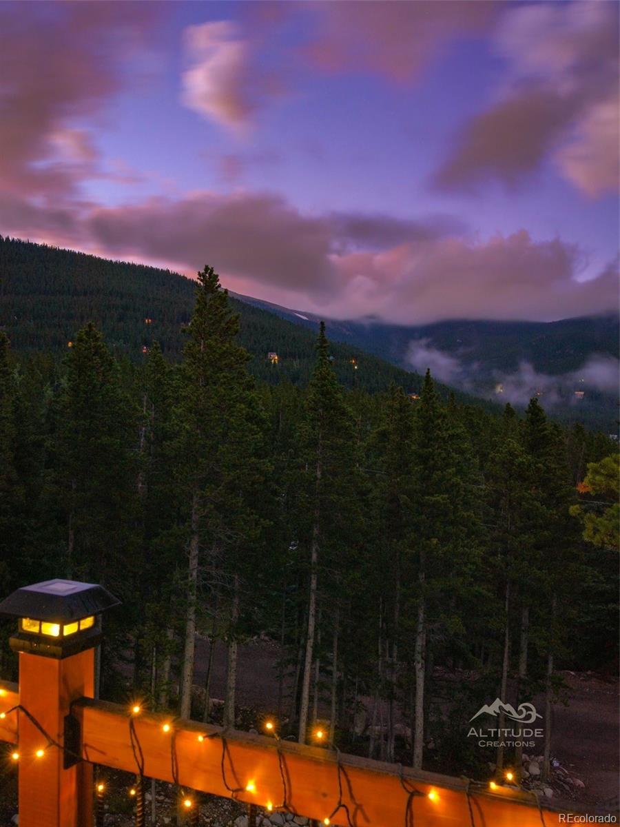 MLS Image #44 for 258  upper forest road,idaho springs, Colorado
