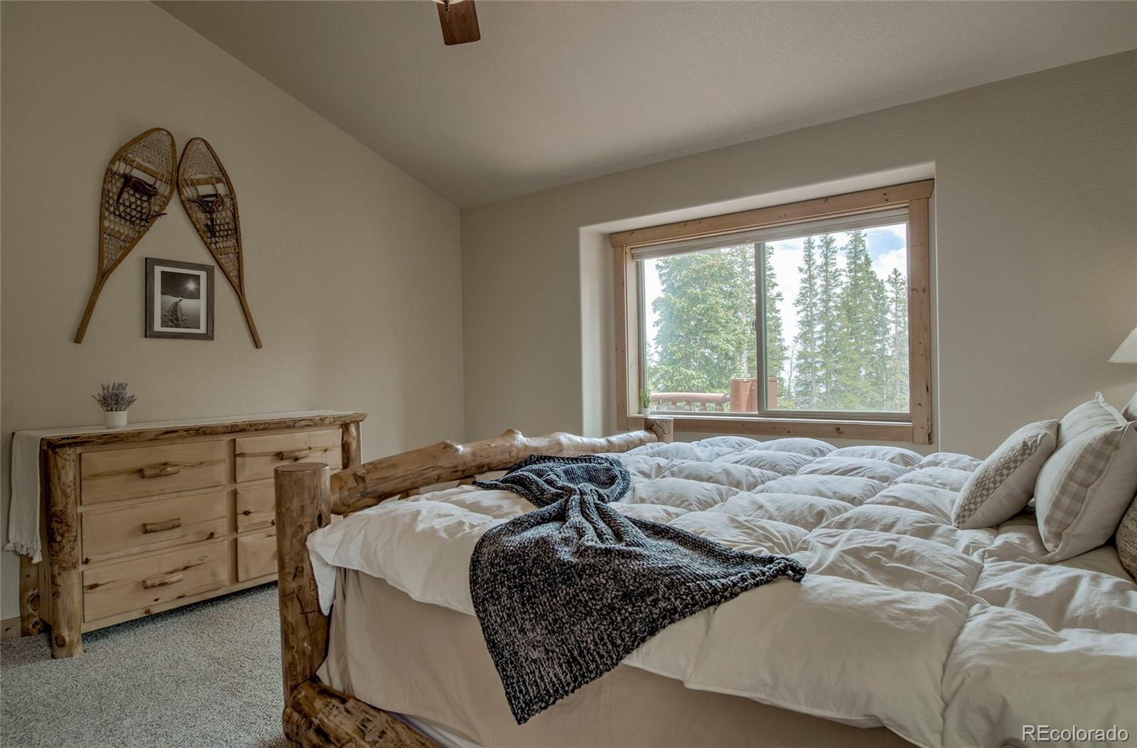 MLS Image #11 for 750  miners way,fairplay, Colorado