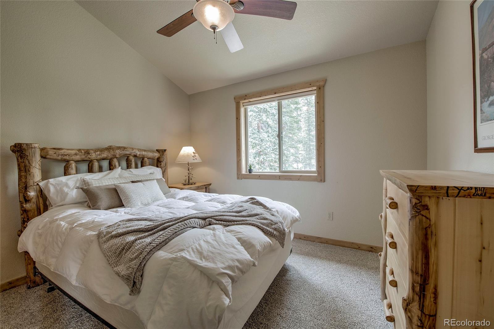 MLS Image #17 for 750  miners way,fairplay, Colorado