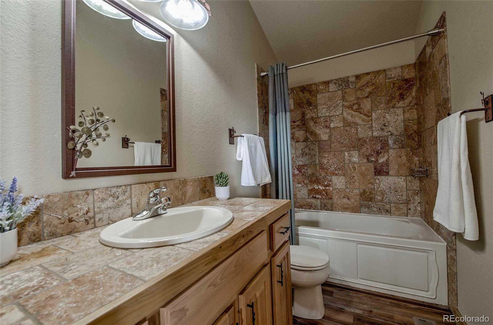 MLS Image #19 for 750  miners way,fairplay, Colorado