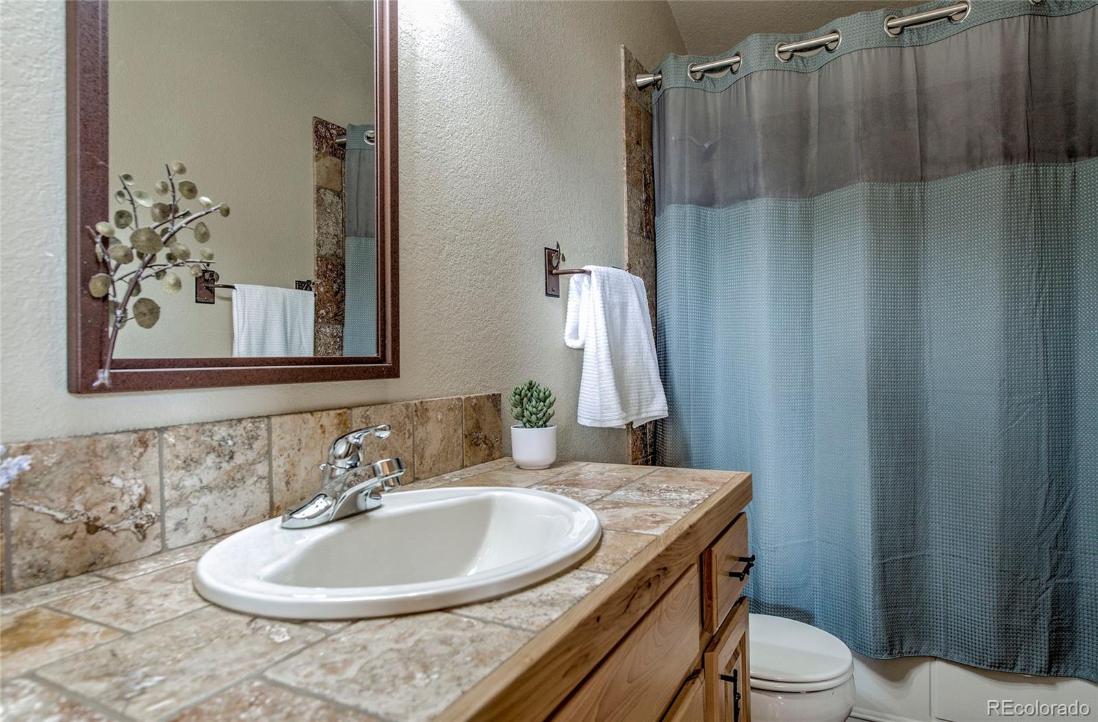 MLS Image #20 for 750  miners way,fairplay, Colorado