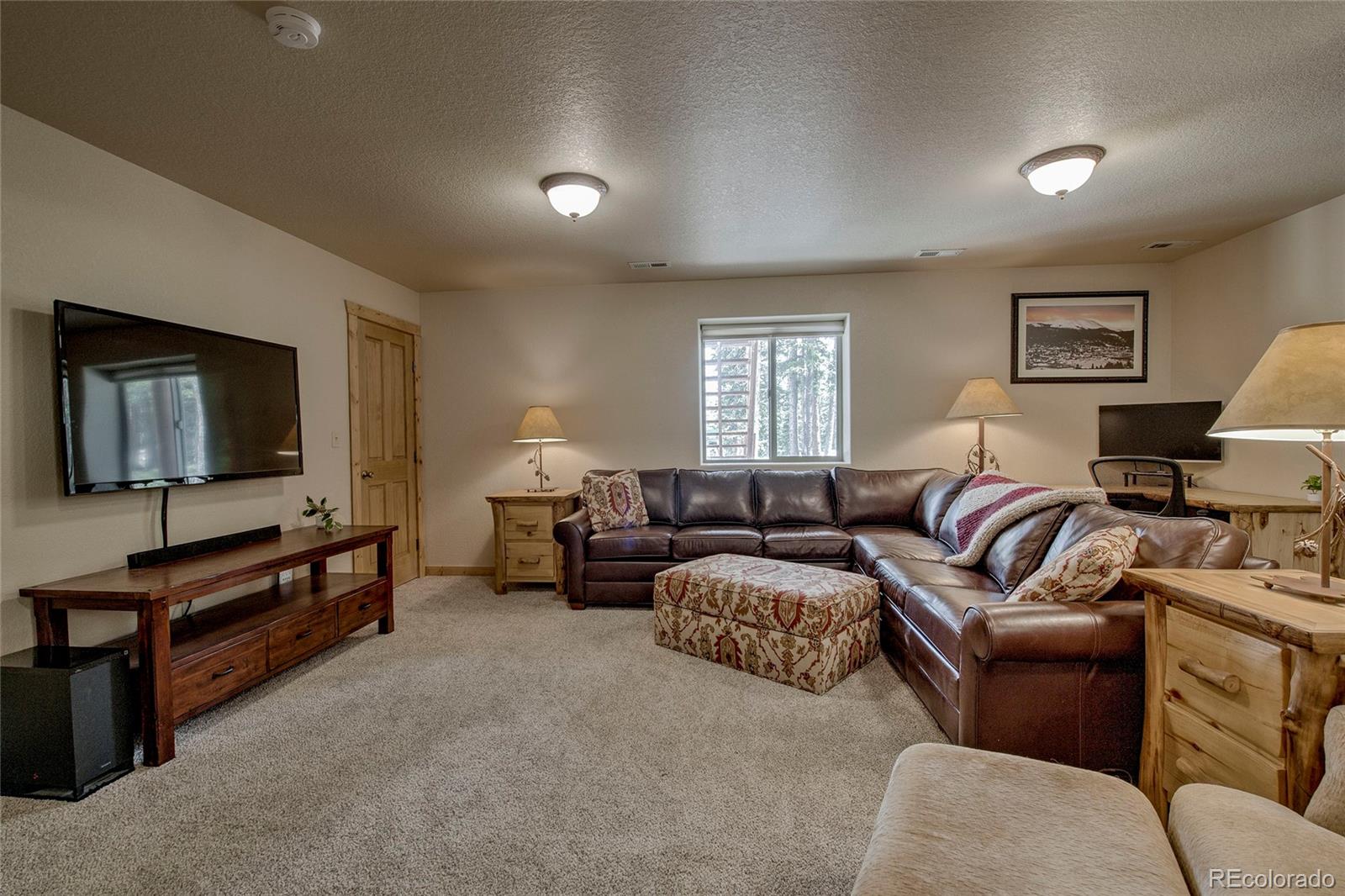 MLS Image #21 for 750  miners way,fairplay, Colorado