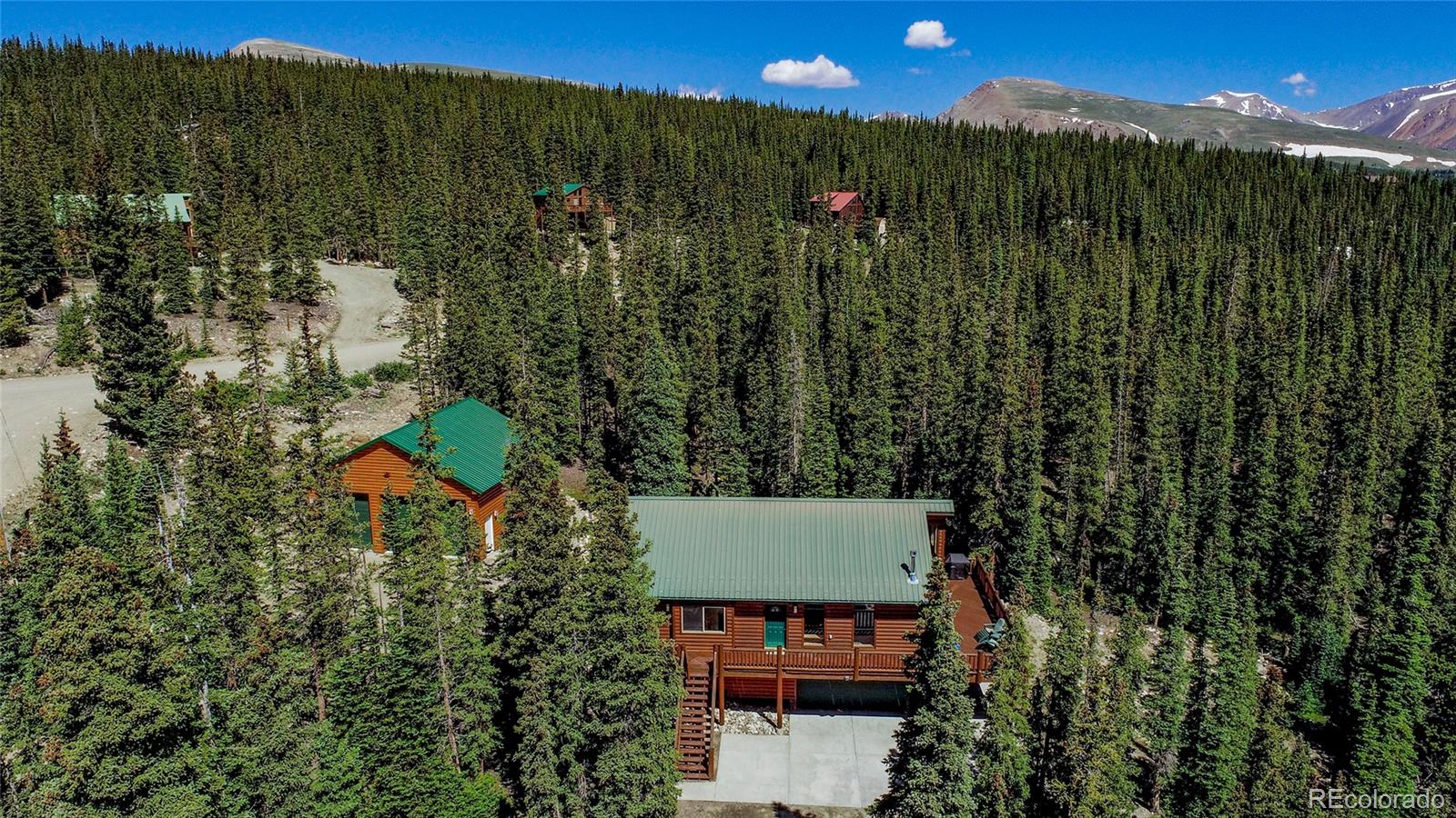 MLS Image #36 for 750  miners way,fairplay, Colorado