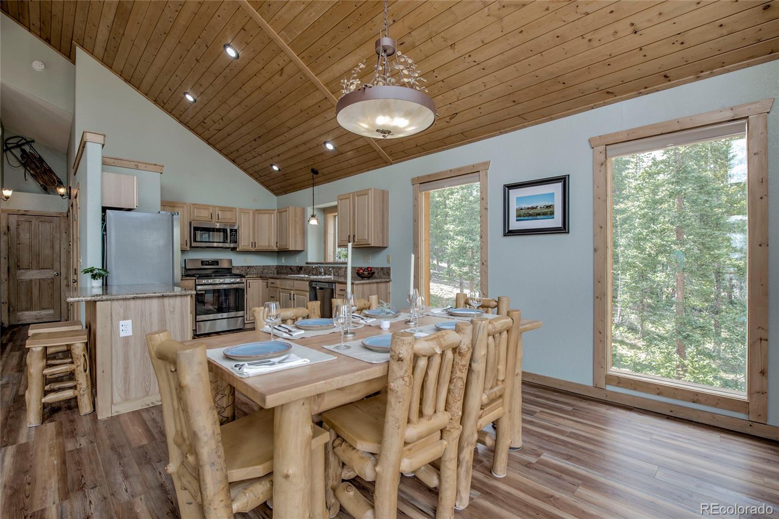 MLS Image #7 for 750  miners way,fairplay, Colorado